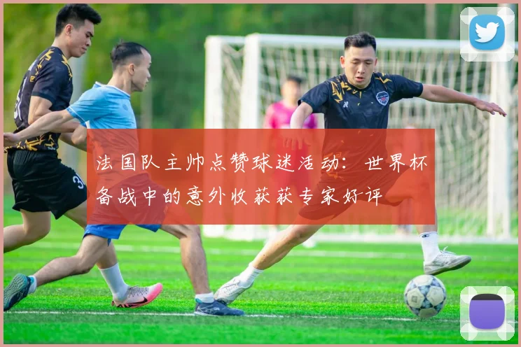 法国队主帅点赞球迷活动：世界杯备战中的意外收获获专家好评