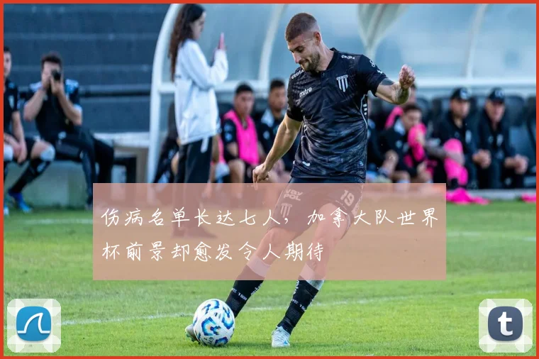 伤病名单长达七人，加拿大队世界杯前景却愈发令人期待