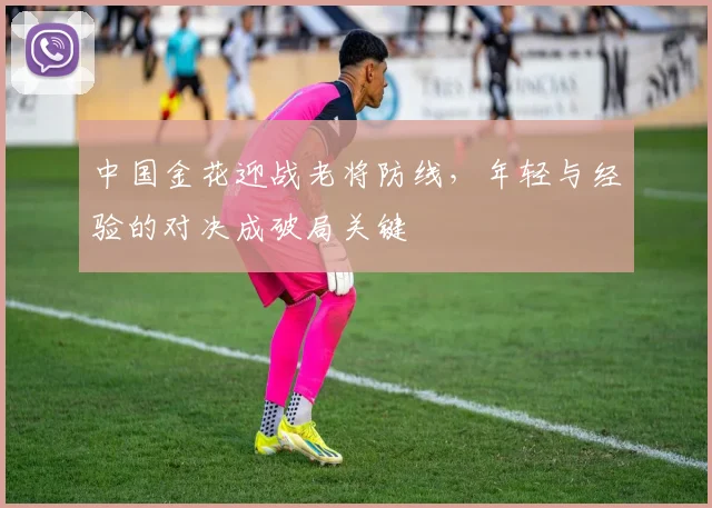 中国金花迎战老将防线，年轻与经验的对决成破局关键